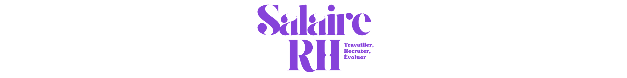 Logo page d'accueil Salaire RH